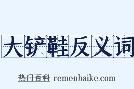 大铲鞋反义词是什么意思的图片